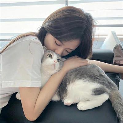 金牌贱猫:重新出击
