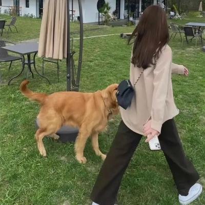 吸血鬼日记 第八季